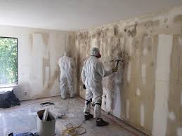 Best Mold Remediation for Rental Properties  in Bethel Acres, OK